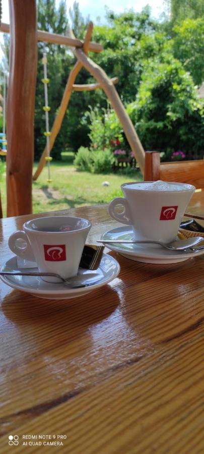 Rybarska Basta Vikletice - Nechranice Villa Kwon Esterno foto
