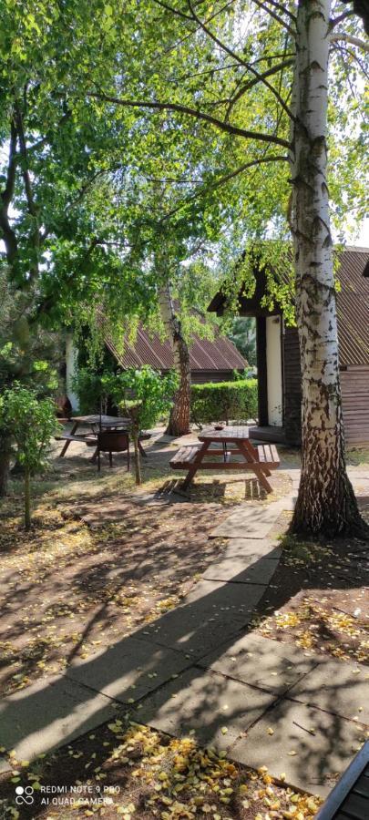 Rybarska Basta Vikletice - Nechranice Villa Kwon Esterno foto